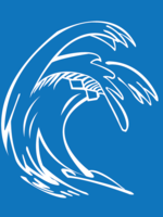 Waves Swim Team Suit Logo
