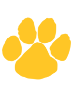 Olmsted Falls High School Suit Logo