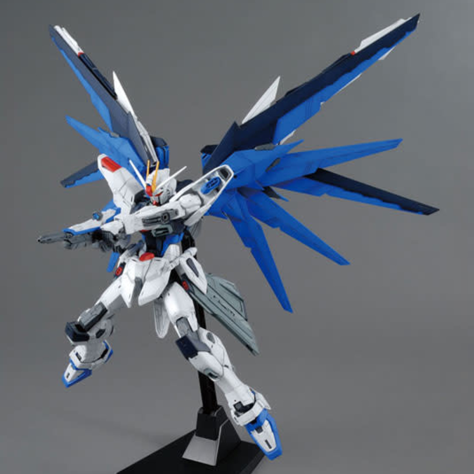 BANDAI MG CE 1/100 GUNDAM SEED ZGMF-X10A FREEDOM GUNDAM VER.2.0
