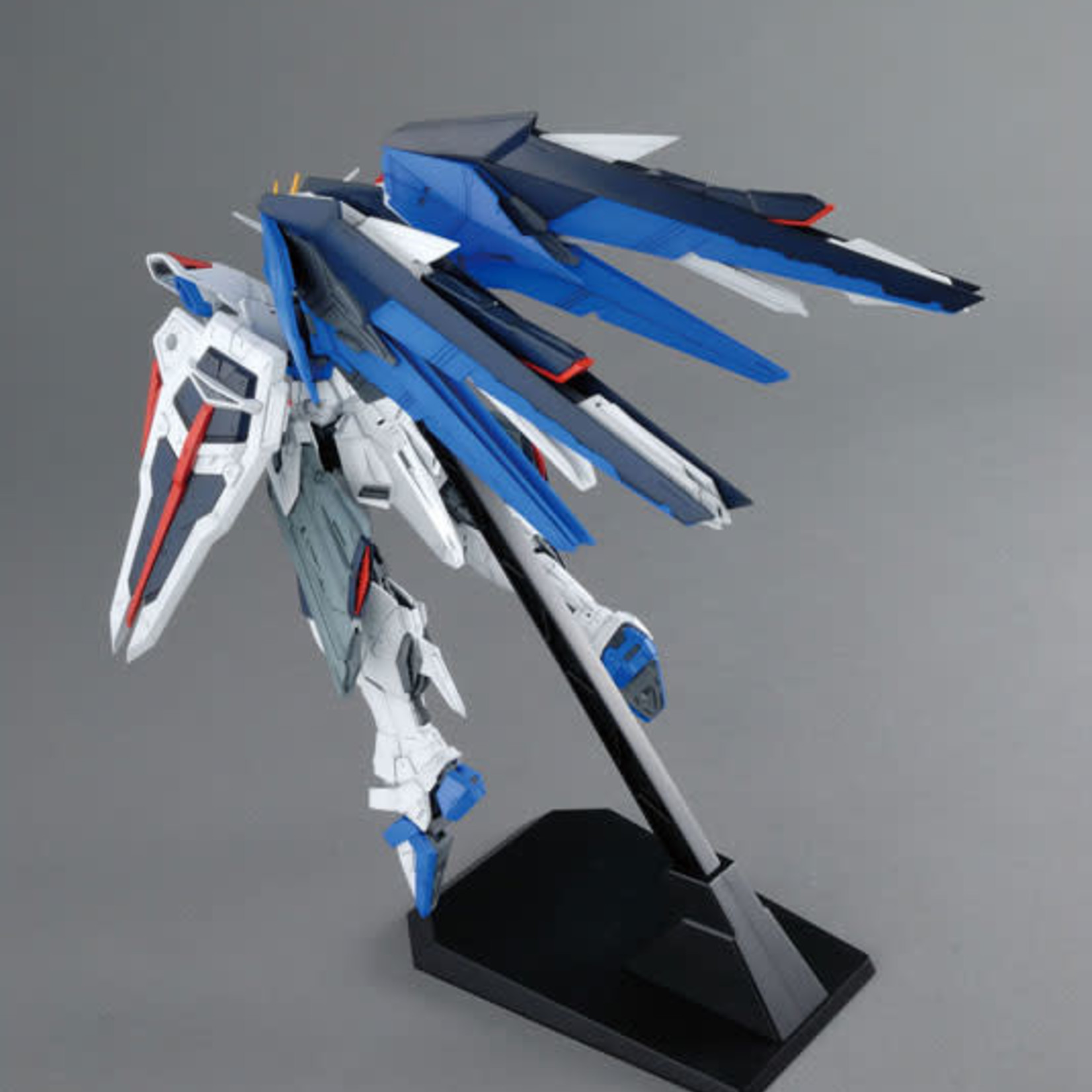 BANDAI MG CE 1/100 GUNDAM SEED ZGMF-X10A FREEDOM GUNDAM VER.2.0
