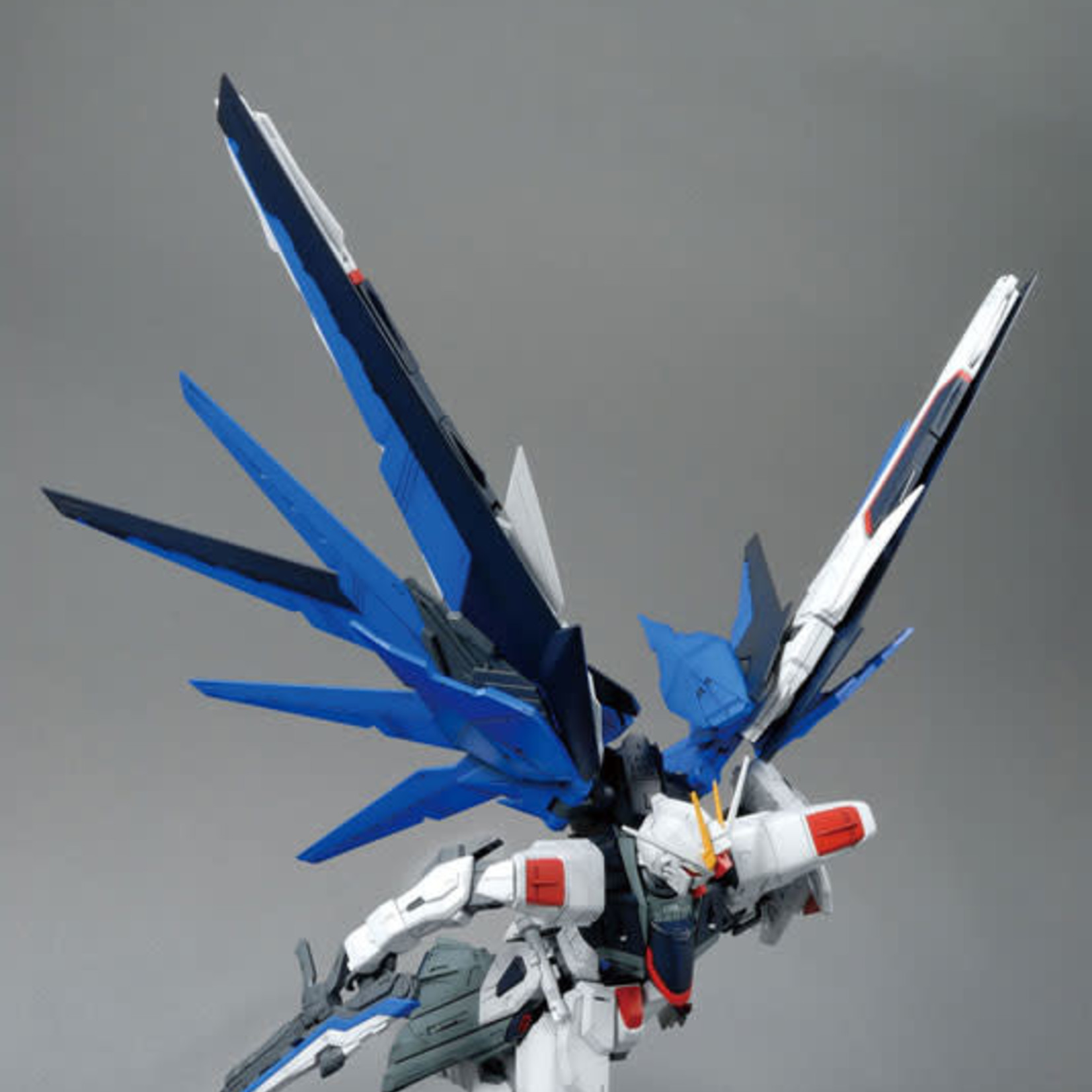 BANDAI MG CE 1/100 GUNDAM SEED ZGMF-X10A FREEDOM GUNDAM VER.2.0