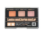 TAMIYA WEATHERING PASTEL SET H