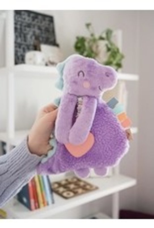 Itzy Ritzy Itzy Lovey™ Plush and Teether Toy
