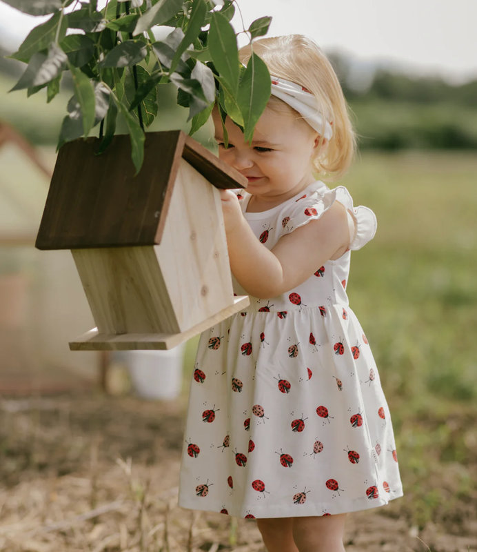 Petit Lem Lady Bugs Print on Off-White Jersey Bodysuit Dress