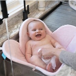 Blooming, Bain Poppy, Rose