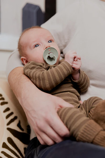 Bibs Set of 2 latex pacifiers 6-18M - Vanilla / Pine