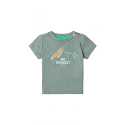 Noppies t-shirt benwood - agave green