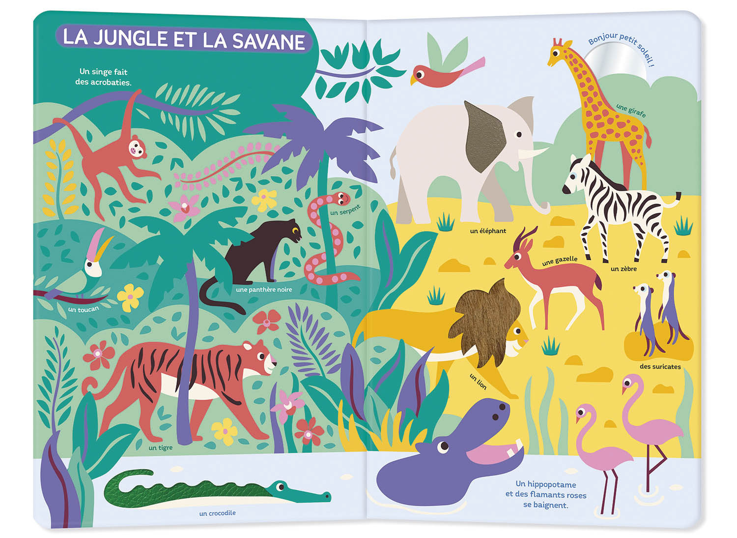 Auzou Mon très grand livre d'éveil - Autour du monde