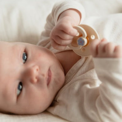 Bibs Ensemble de 2 suces 6-18 mois - Jasmine Ivory mix