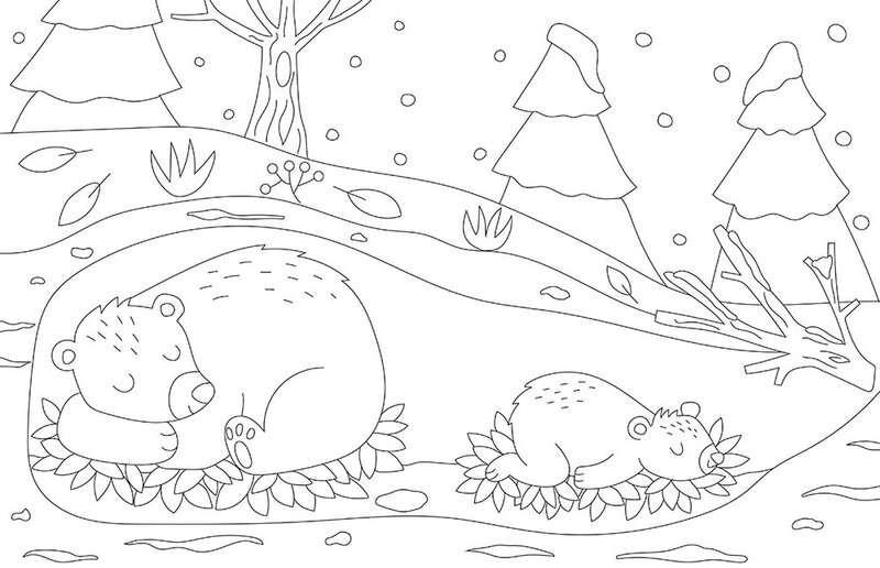 Auzou Mes grands coloriages - Joli hiver