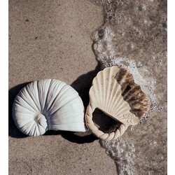 Natruba 2 en 1 - Jouet de dentition + Jouet de bain en caoutchouc naturel - Nautilus et coquillage