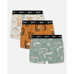Deux Par Deux Printed Organic Cotton Boxer Shorts (Pack Of 3) Multicolored (2-3Y/11-12Y)