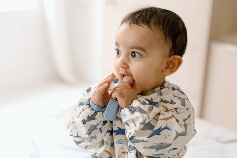 Loulou Lollipop Long Sleeve Bib - Smiley Sharks
