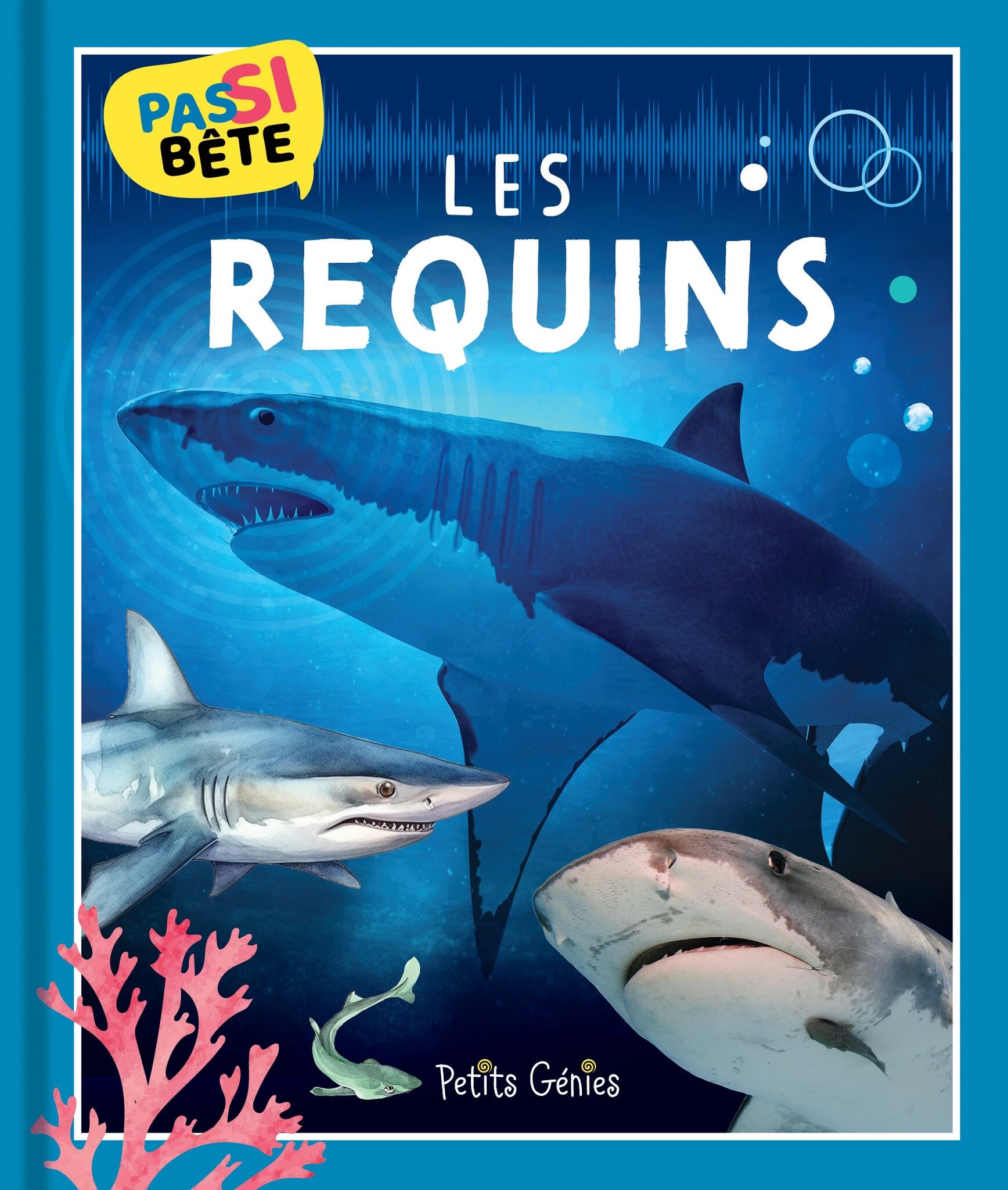 Petits Génies Pas si bête - Les requins