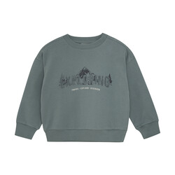 En-fant Sweatshirt "Exploring" - Balsam green  (3ans/8ans)
