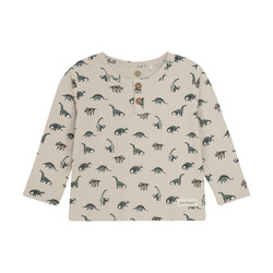 En-fant T-shirt manche longue à imprimé de dino - French oak (3m/24m)