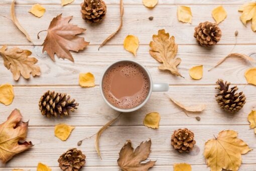 Chocolat chaud ours - Double truffe