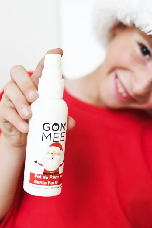 Gom-Mee Bruine d'oreiller de Père Noël 60ml - Biscuit de Noël