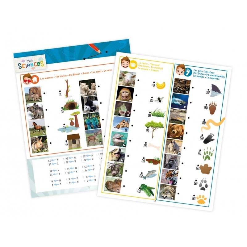 Buki Mini sciences - Lanterne 3-en-1