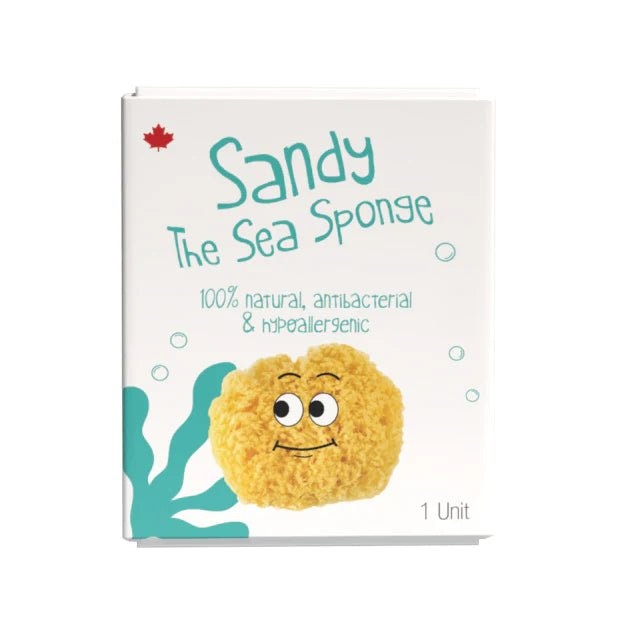 Loot Sandy l'éponge de mer 100% naturel, antibactérien et hypoallergénique