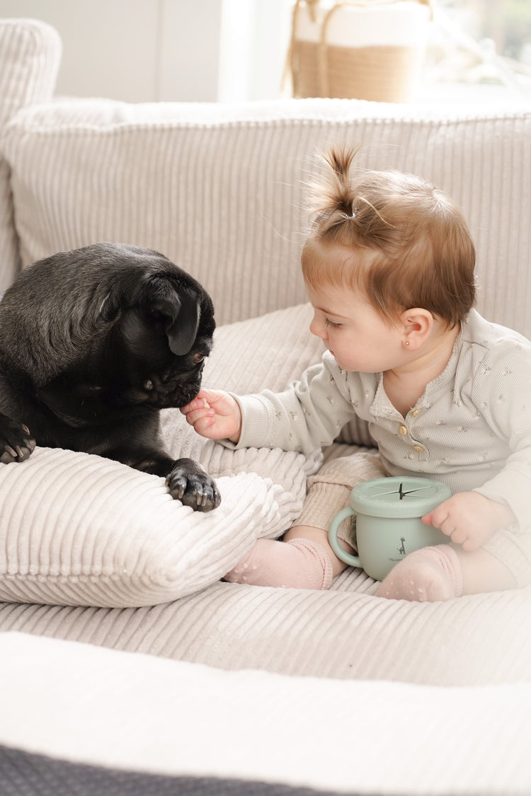 Micasso & co. Tasse d'apprentissage 2 en 1 pour collation et liquide - Vert tendre