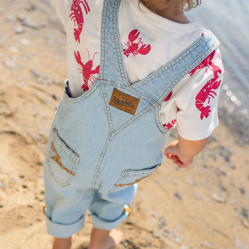 Souris Mini Salopette bleu pâle en denim à rayures