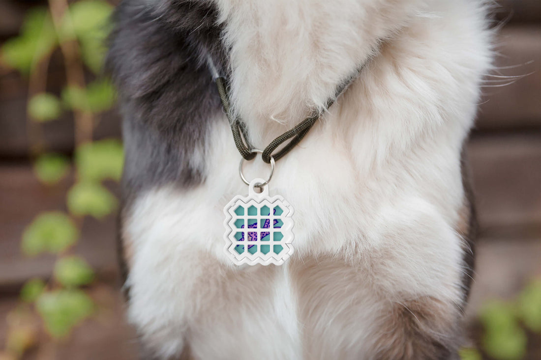 The Natural Patch co. Médaillon pour animaux de compagnie - Pour autocollant NATPAT