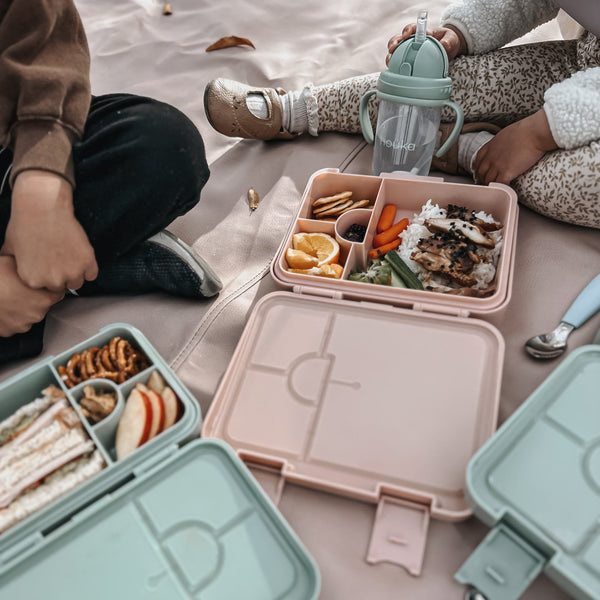 Ñouka Boite bento pour lunch (inclus ice pack) - Ice cream