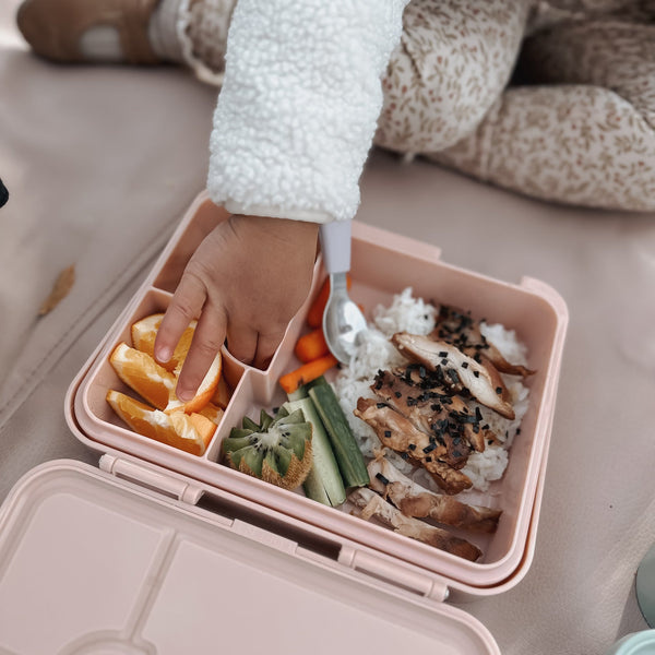 Ñouka Boite bento pour lunch (inclus ice pack) - Ice cream