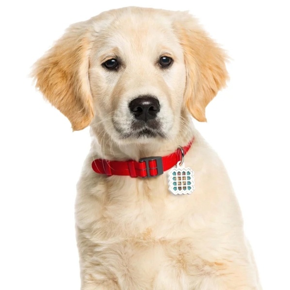 The Natural Patch co. Autocollant anti-puces pour animaux de compagnie (paquet de 24)