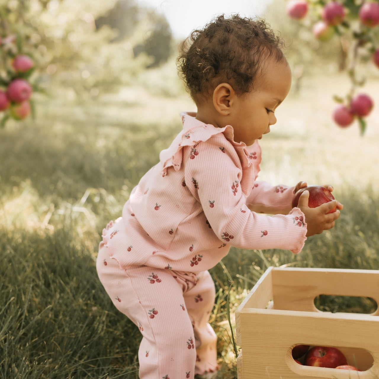 Petit Lem Ensemble pantalon Pomme - Rose