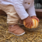 Stonz Soulier Cruiser original - Camel - Bébé