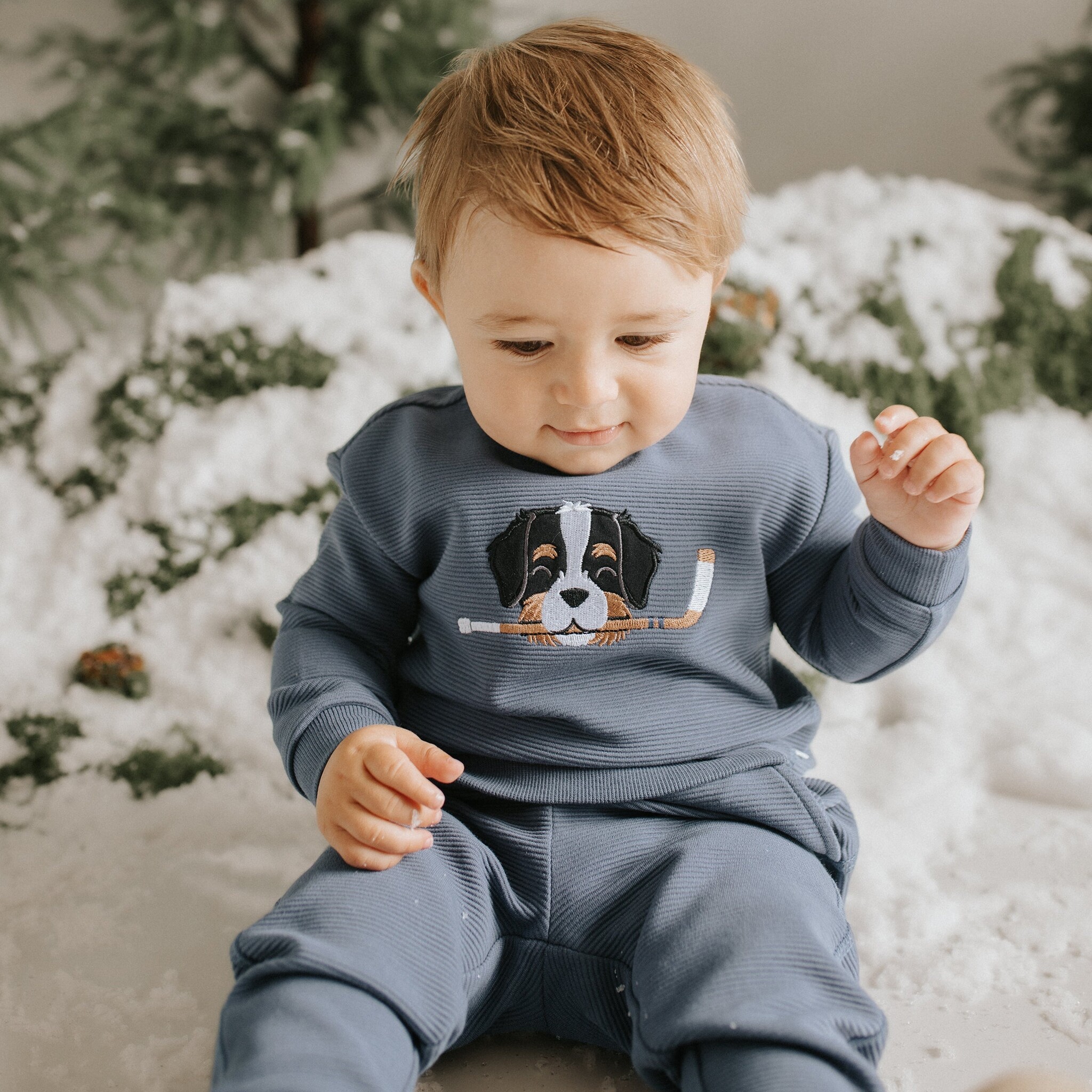 Petit Lem Ensemble bleu à imprimé de bouvier bernois d'hockey