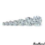Neometal Titanium Prong Set Gem