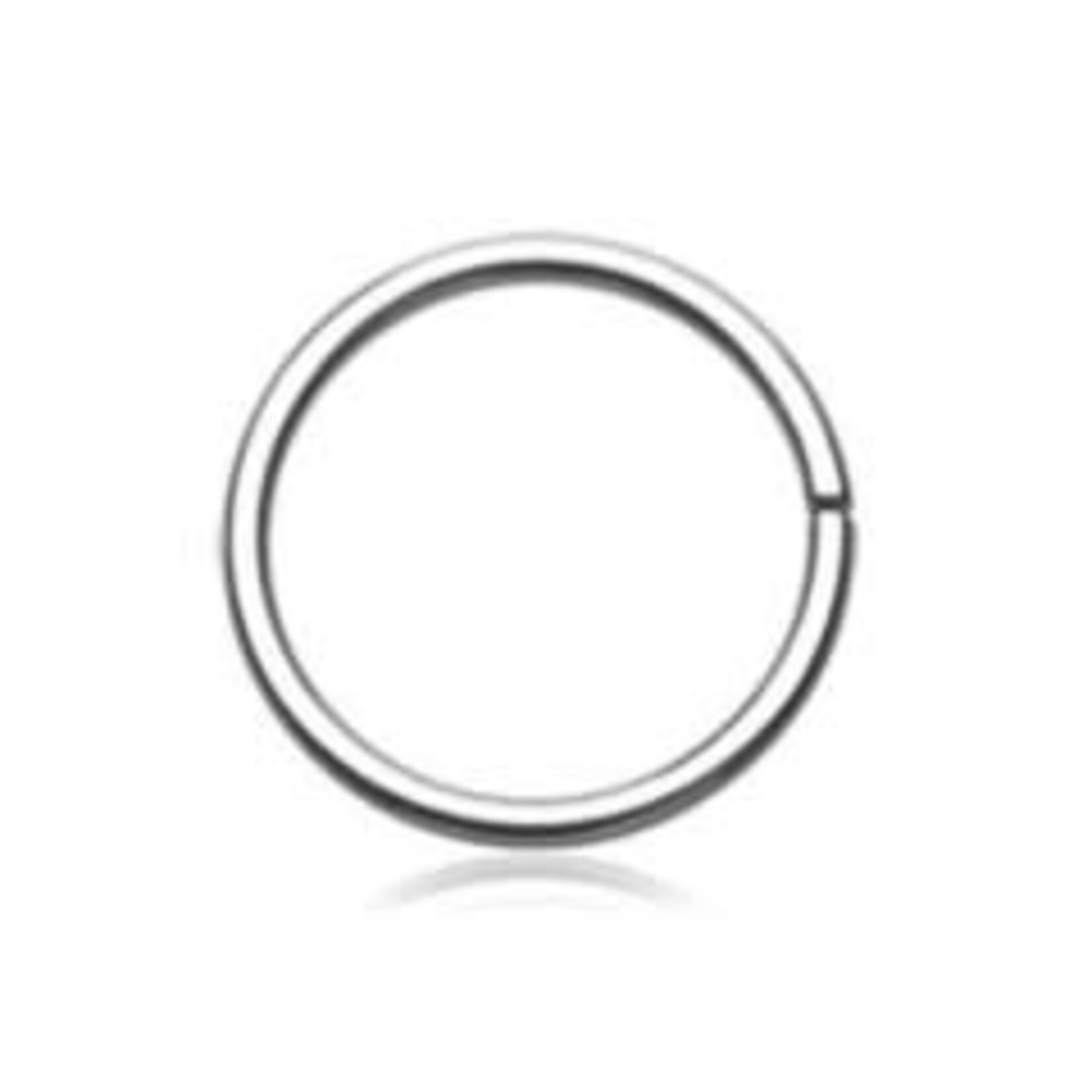 Multiple Companies High Polish Seam Ring