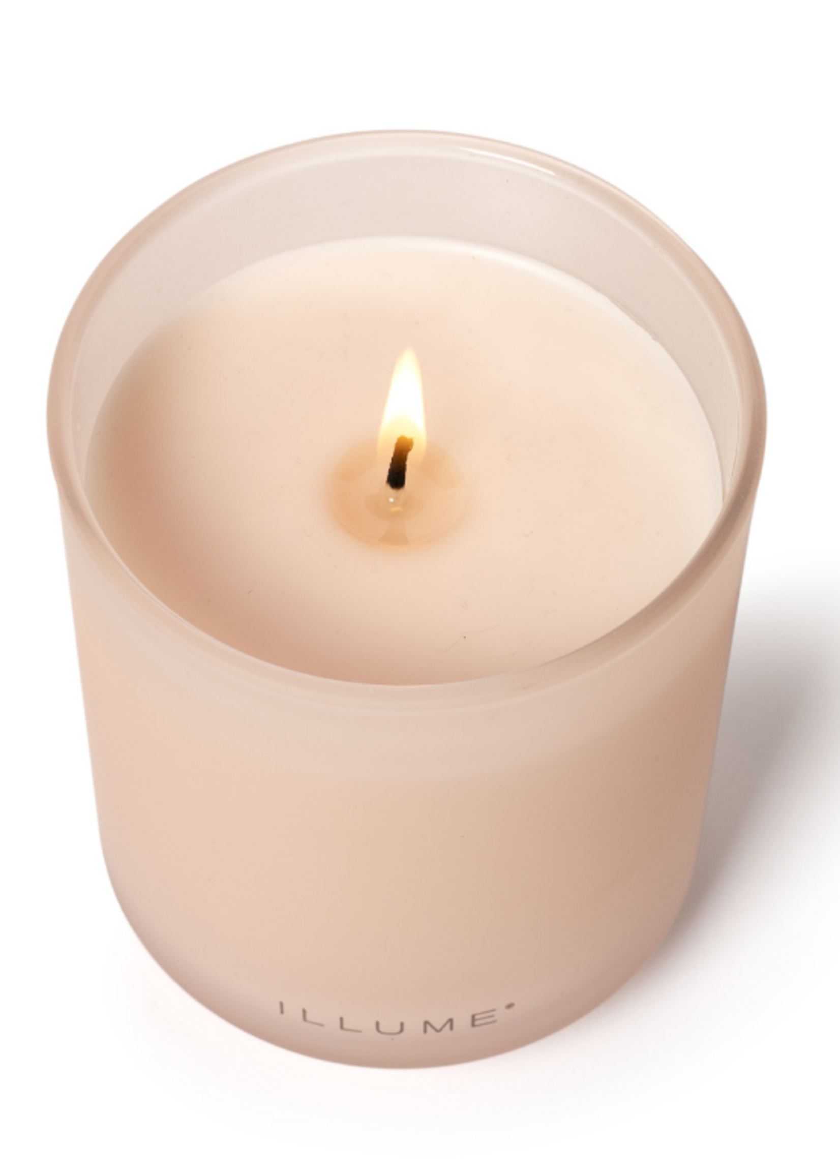 Coconut Milk Mango Glass Boxed Candle