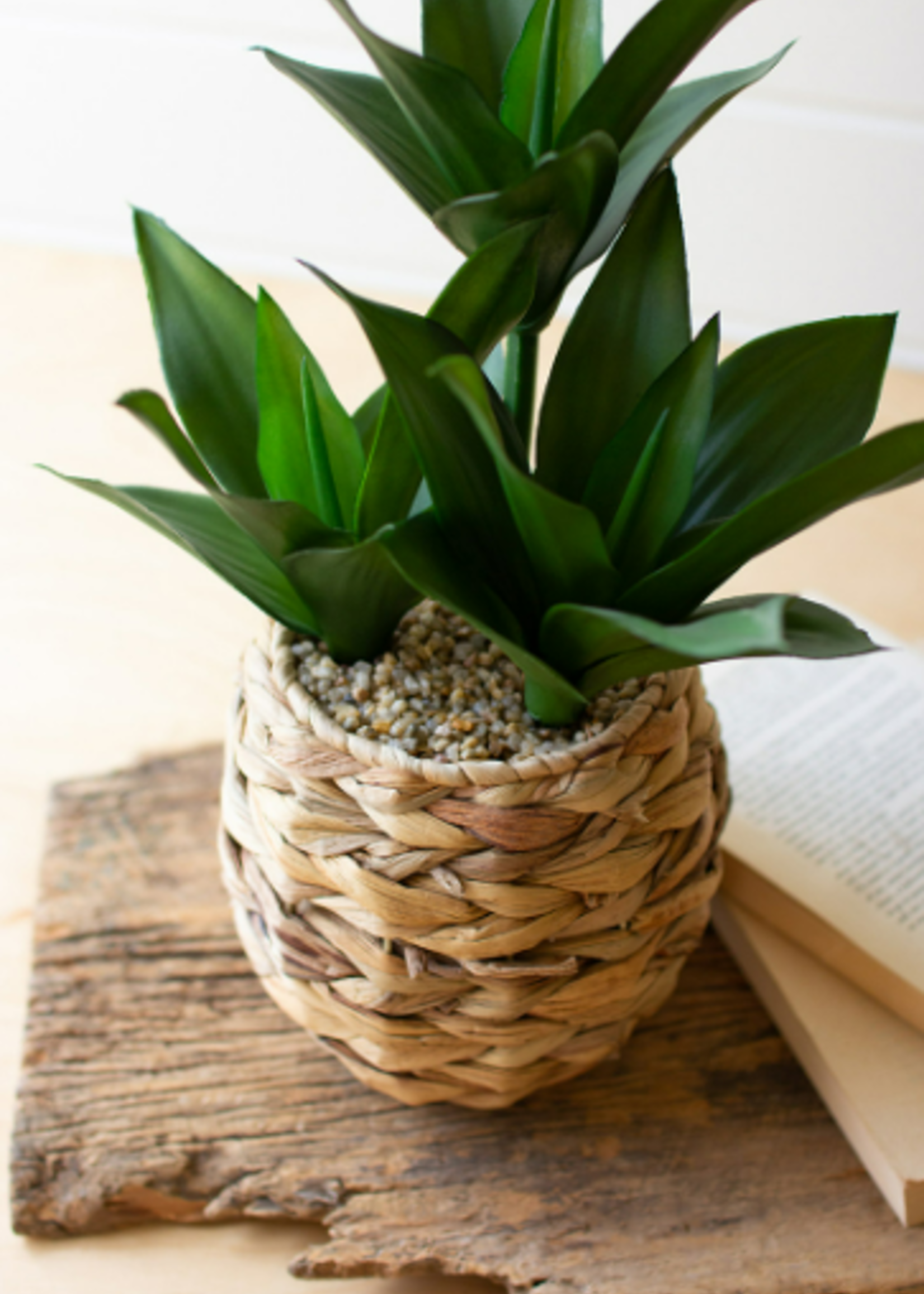 Leafy Greens with Woven Planter