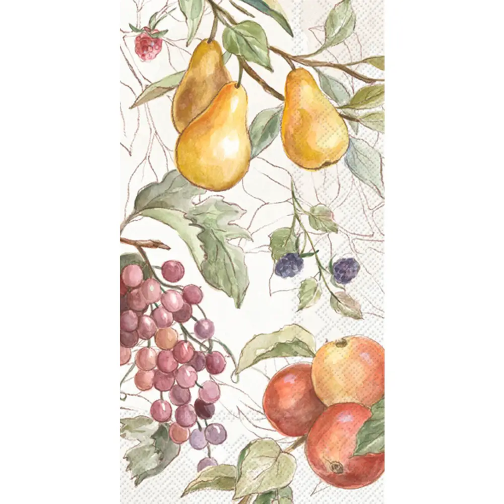 Boston Inernational Country Fruits Guest Napkins