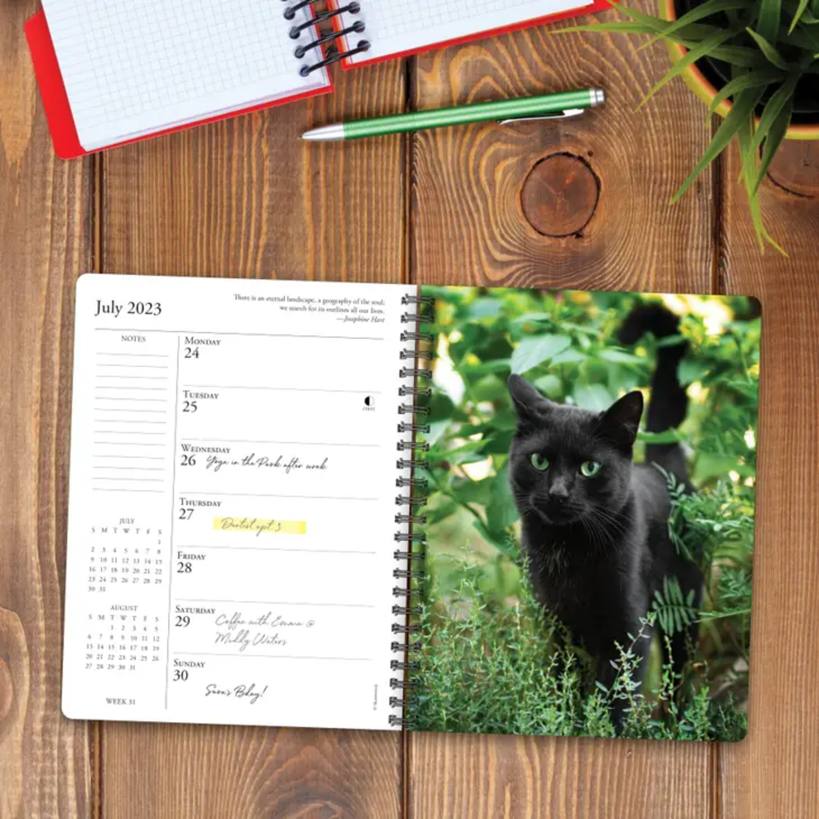 Willow Creek Press What Cats Teach Us Planner