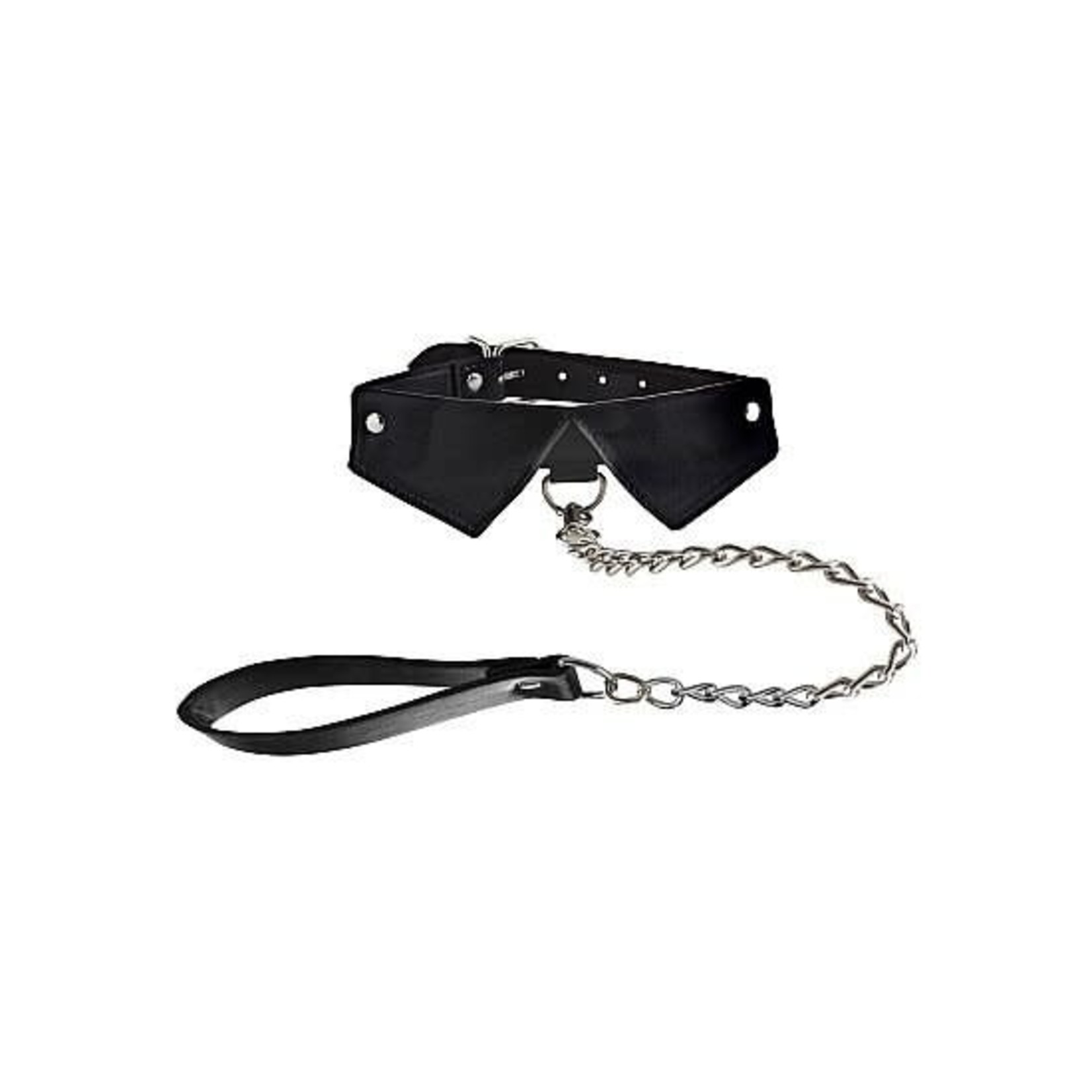 EXCLUSIVE COLLAR WITH LEASH