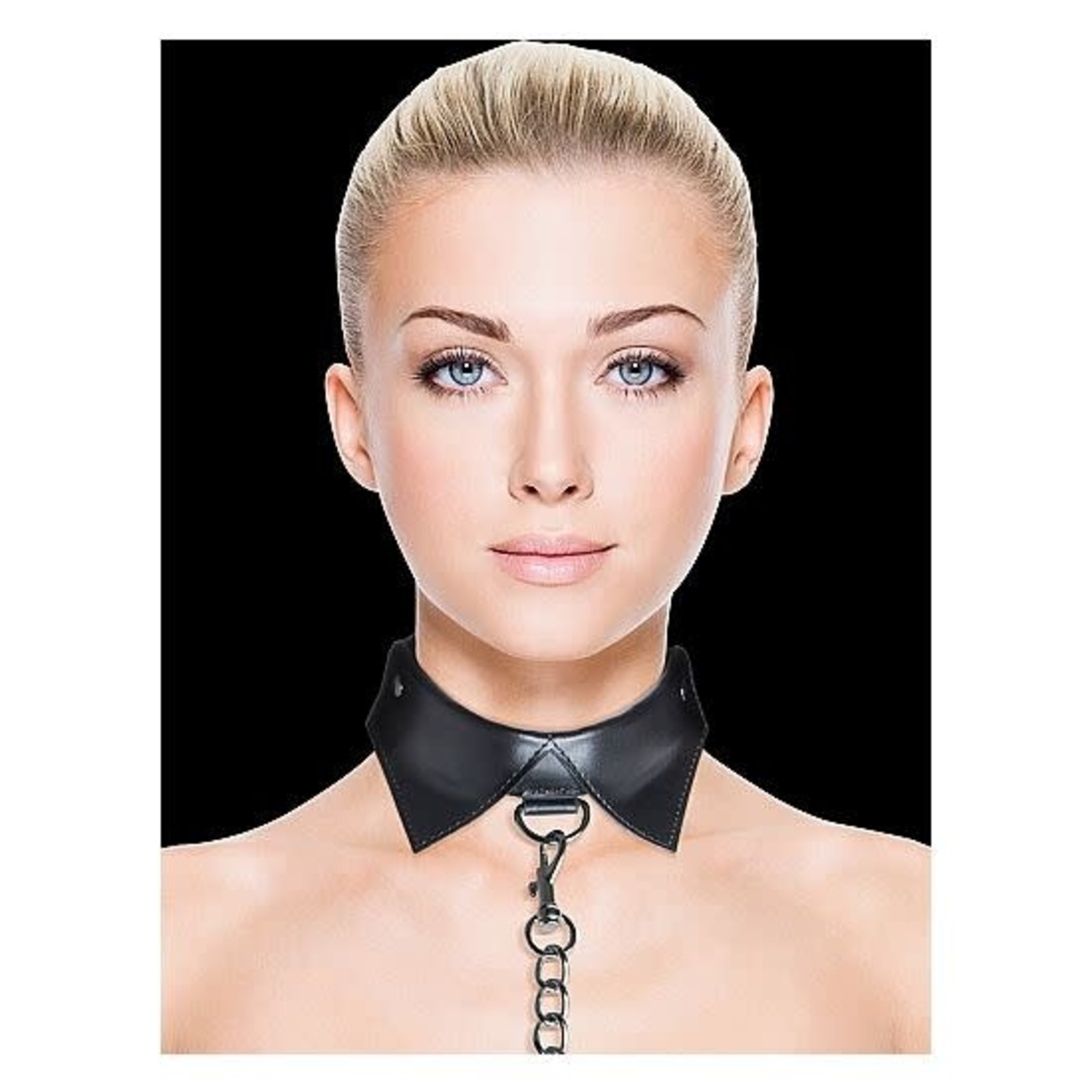 EXCLUSIVE COLLAR WITH LEASH