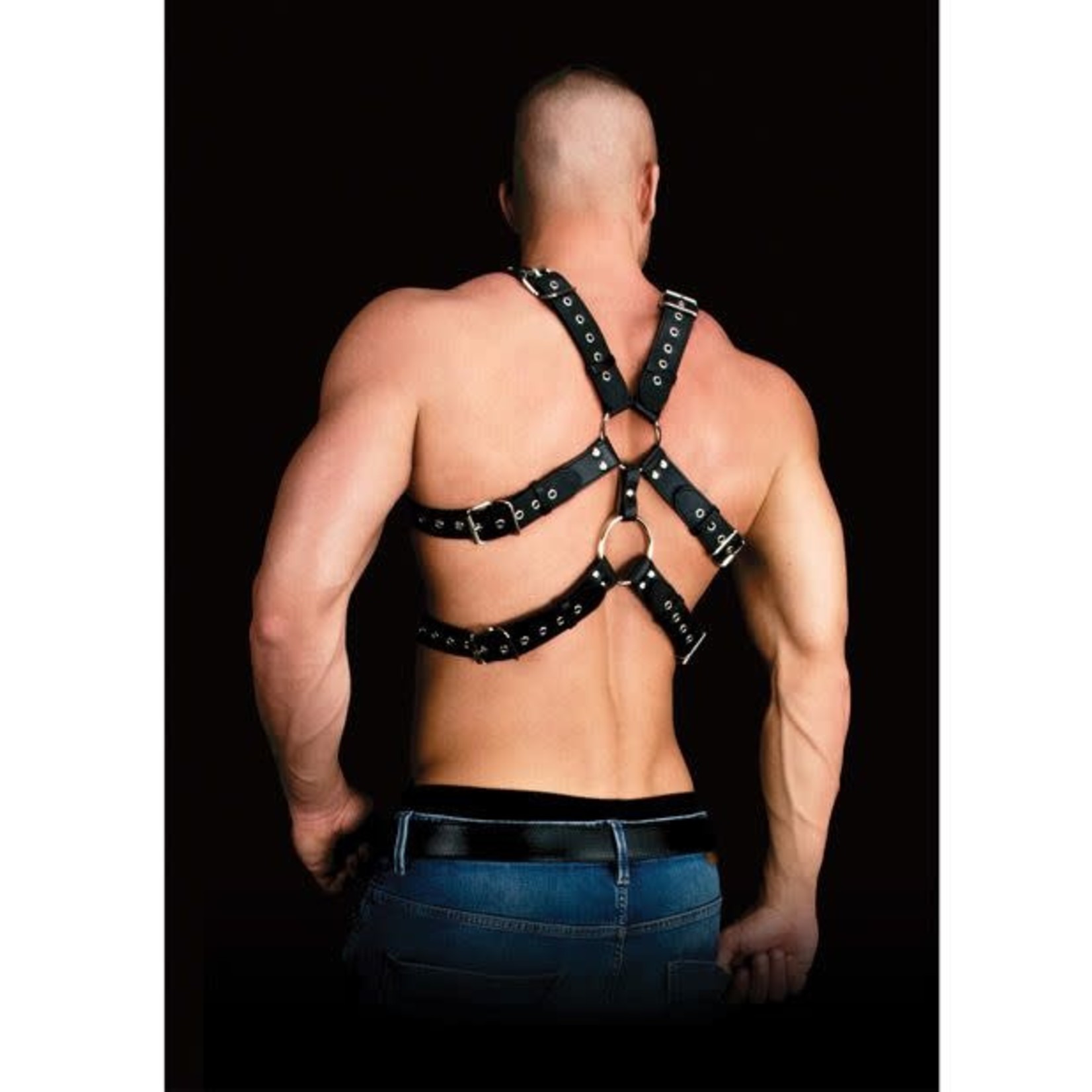 OUCH! ANDRES MASCULINE MASTERPIECE UPPER BODY HARNESS OS