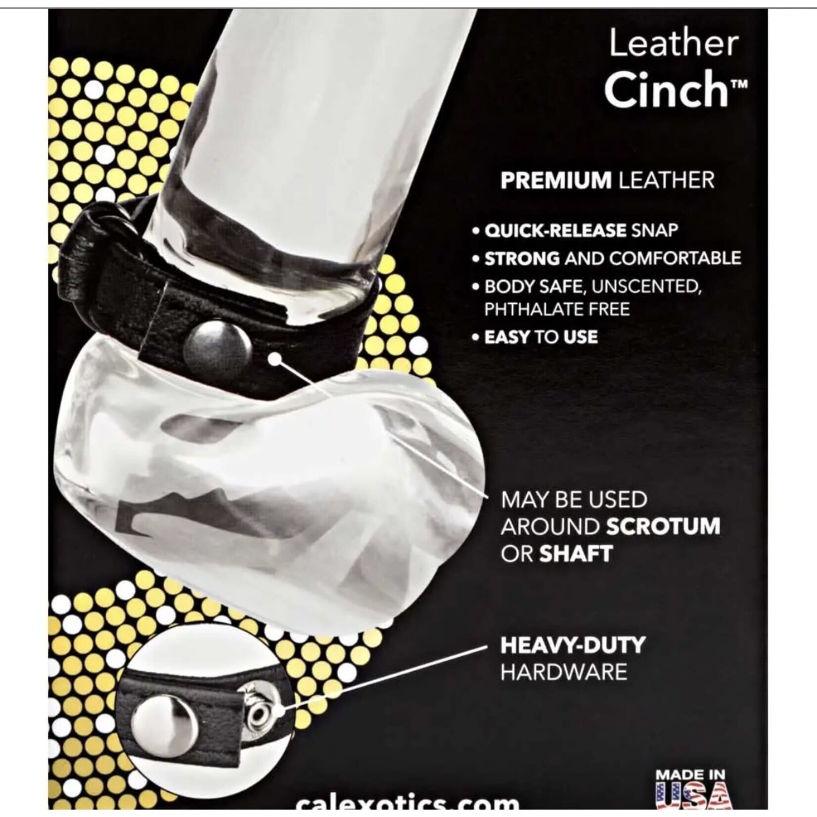 CALEXOTICS LEATHER CINCH