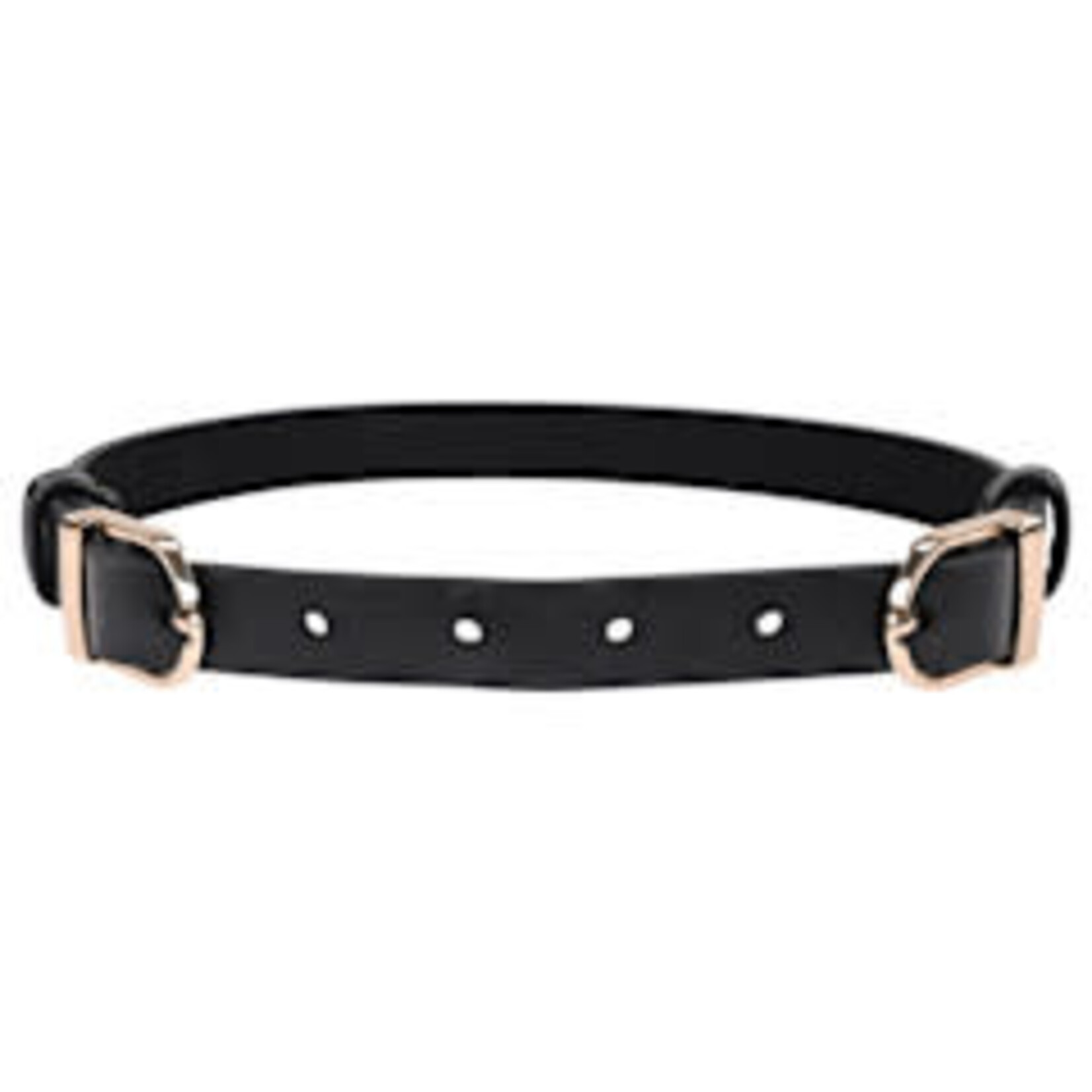 SPORTSHEETS SPORTSHEETS - S&M - DOUBLE BUCKLE DAY COLLAR