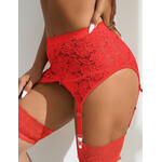 OH YEAH! -  RED SEXY LACE METAL CLIPS GARTER PANTY   M-L RED