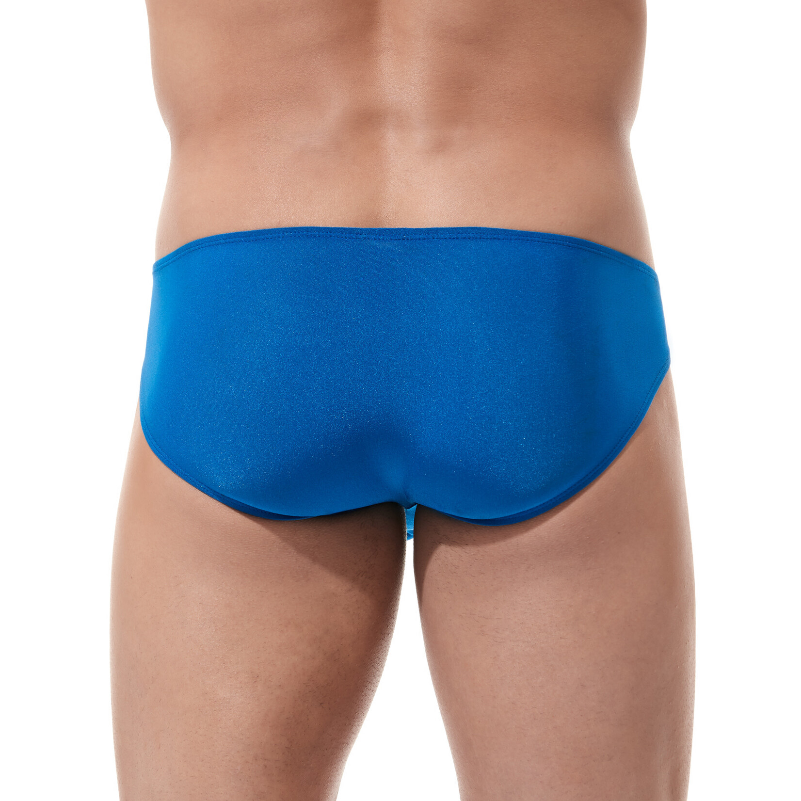 GREGG HOMME TORRIDZ BRIEFS ROYAL SMALL