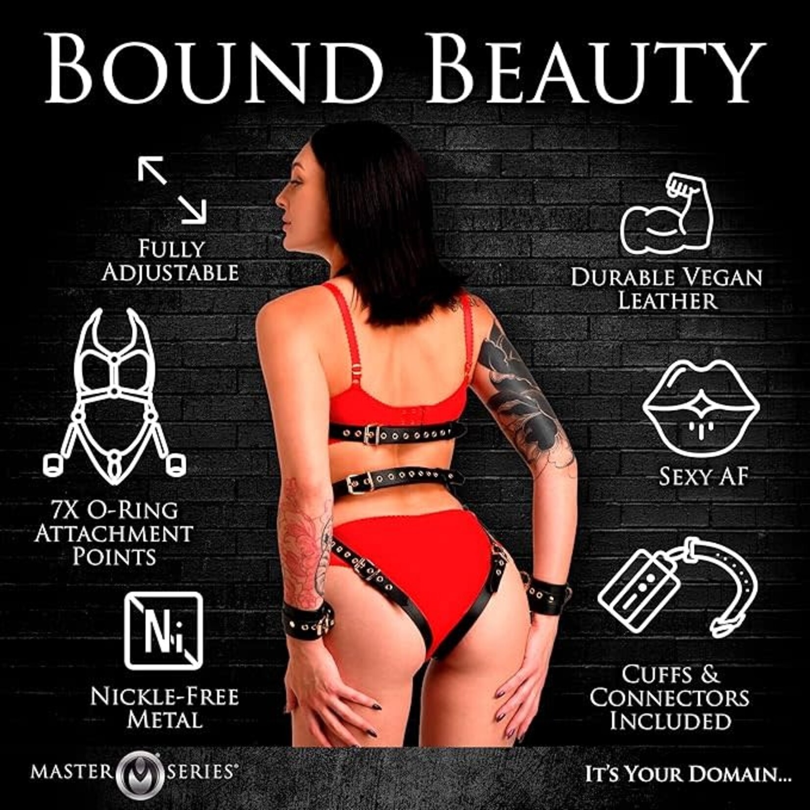 MASTER SERIES MASTER SERIES HARNESS WITH RESTRAINTS