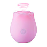 PASSION PLACE GLOW-IN-THE-DARK 10-FUNCTION PINK SILICONE RECHARGEABLE CLITORAL SUCKING ROSE SEX TOY