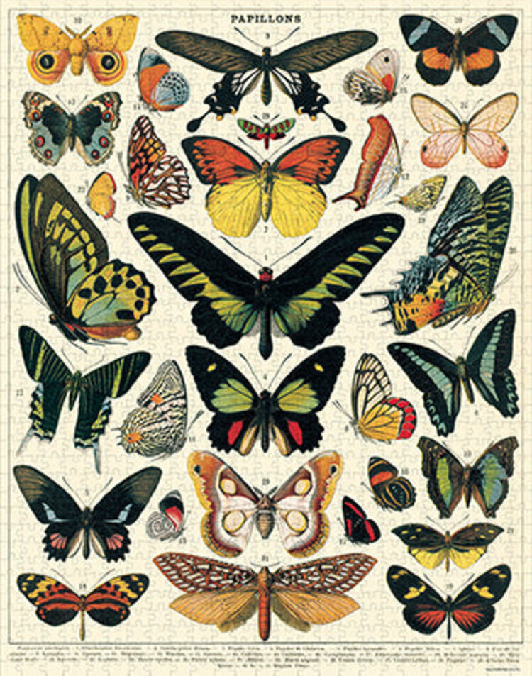 Cavallini & Co. Vintage Puzzle - 1000pc / Butterflies
