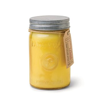 Paddywax Fresh Meyer Lemon - 9.5 oz Candle